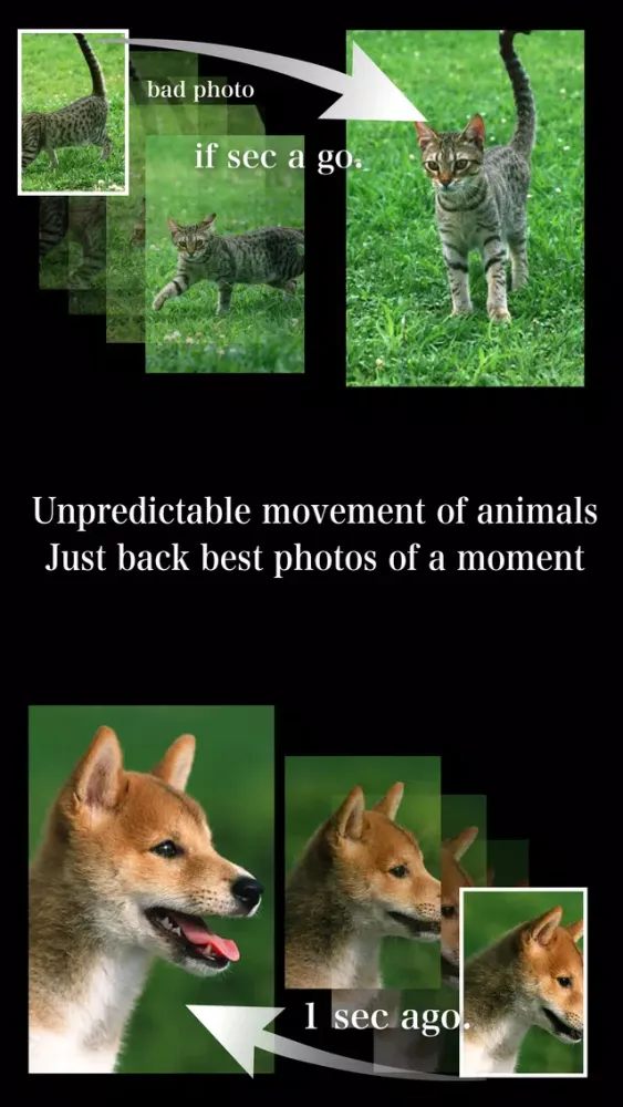 Capturas de pantalla de TimeMachine Camera