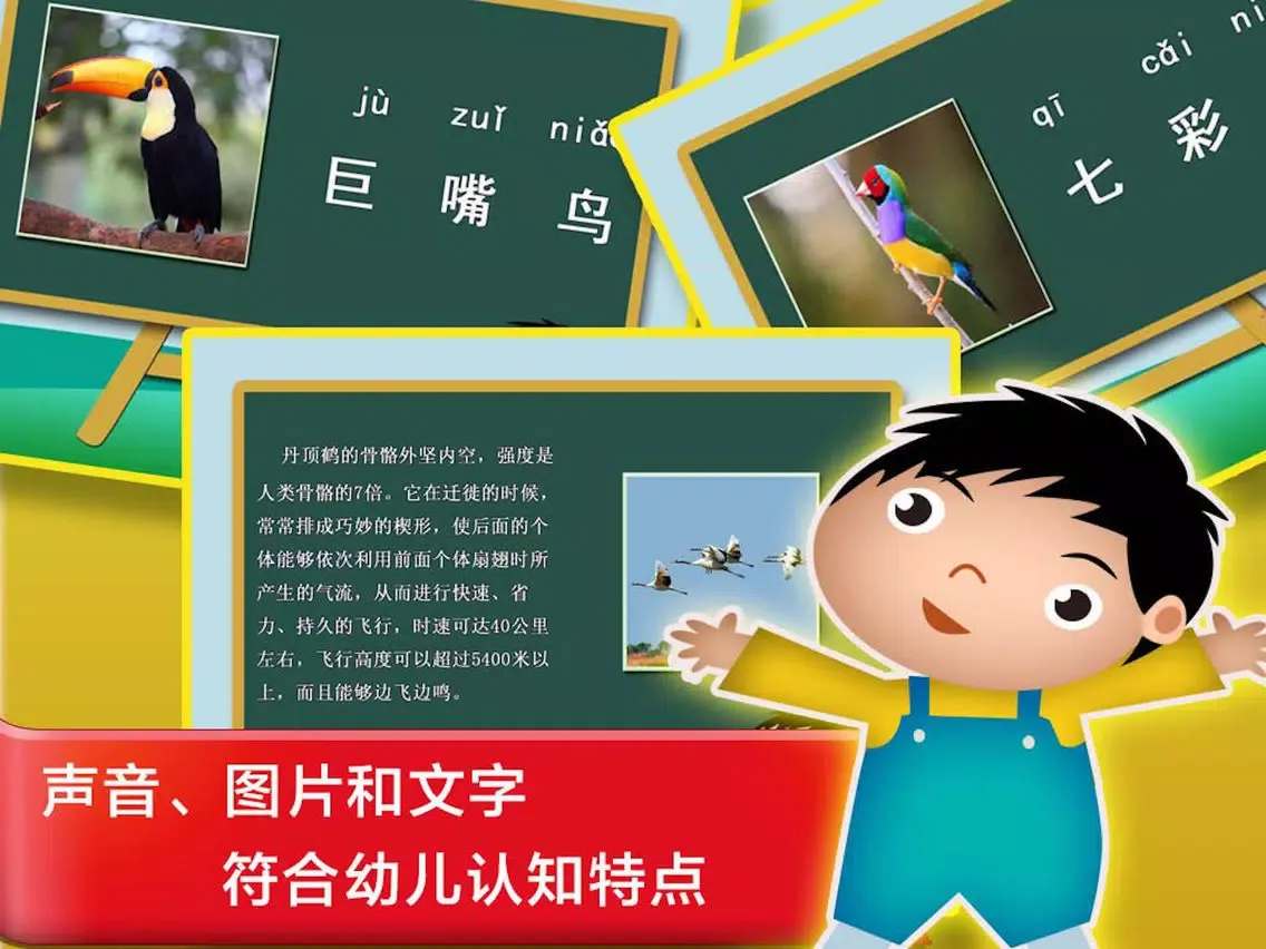Captures d'écran de 鸟儿的童年汉字早教- 教育学前班孩子的认字游戏 iPad 