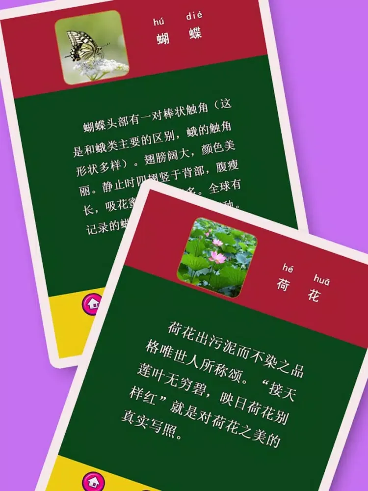 熊猫宝宝认物大巴士全集2 - 优选必学常识和知识 iPad  Screenshots