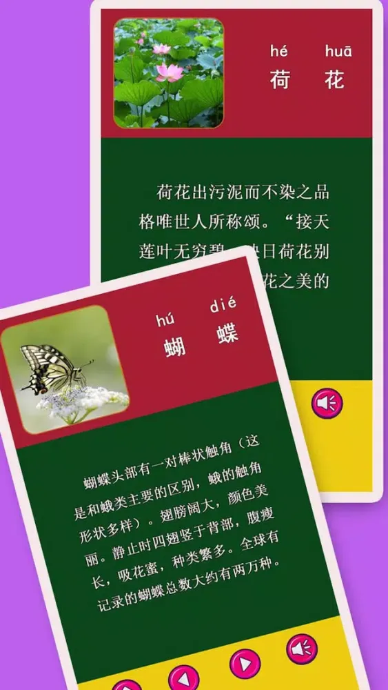 熊猫宝宝认物大巴士全集2 - 优选必学常识和知识 Screenshots