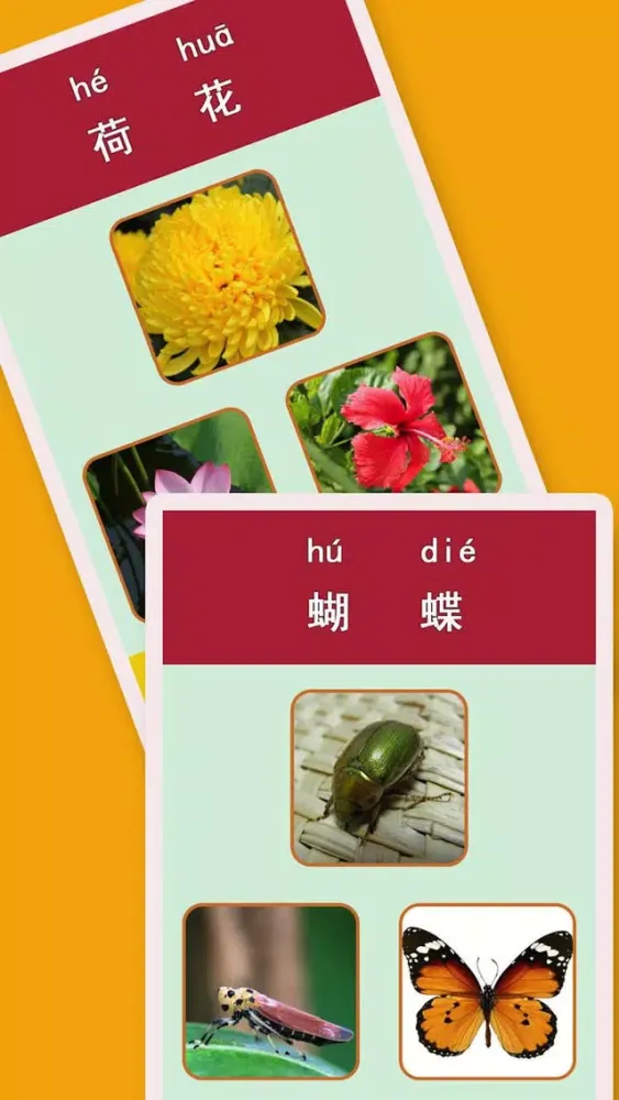 熊猫宝宝认物大巴士全集2 - 优选必学常识和知识 Screenshots