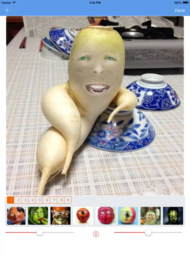 Tangkapan layar Super Funny And Humorous Camera iPad 