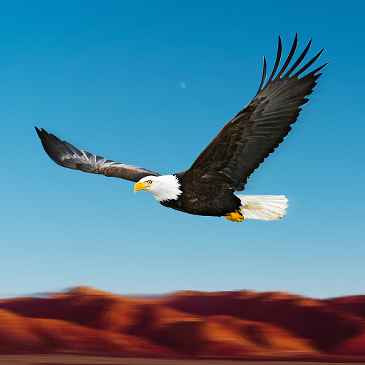 Bird Race Game 3D: Eagle Games Bird Race Game 3D: Eagle Games