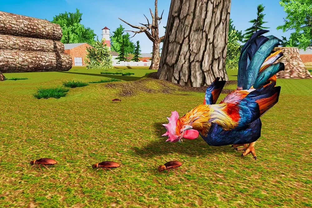 Rooster Simulator - Chick Life Screenshots