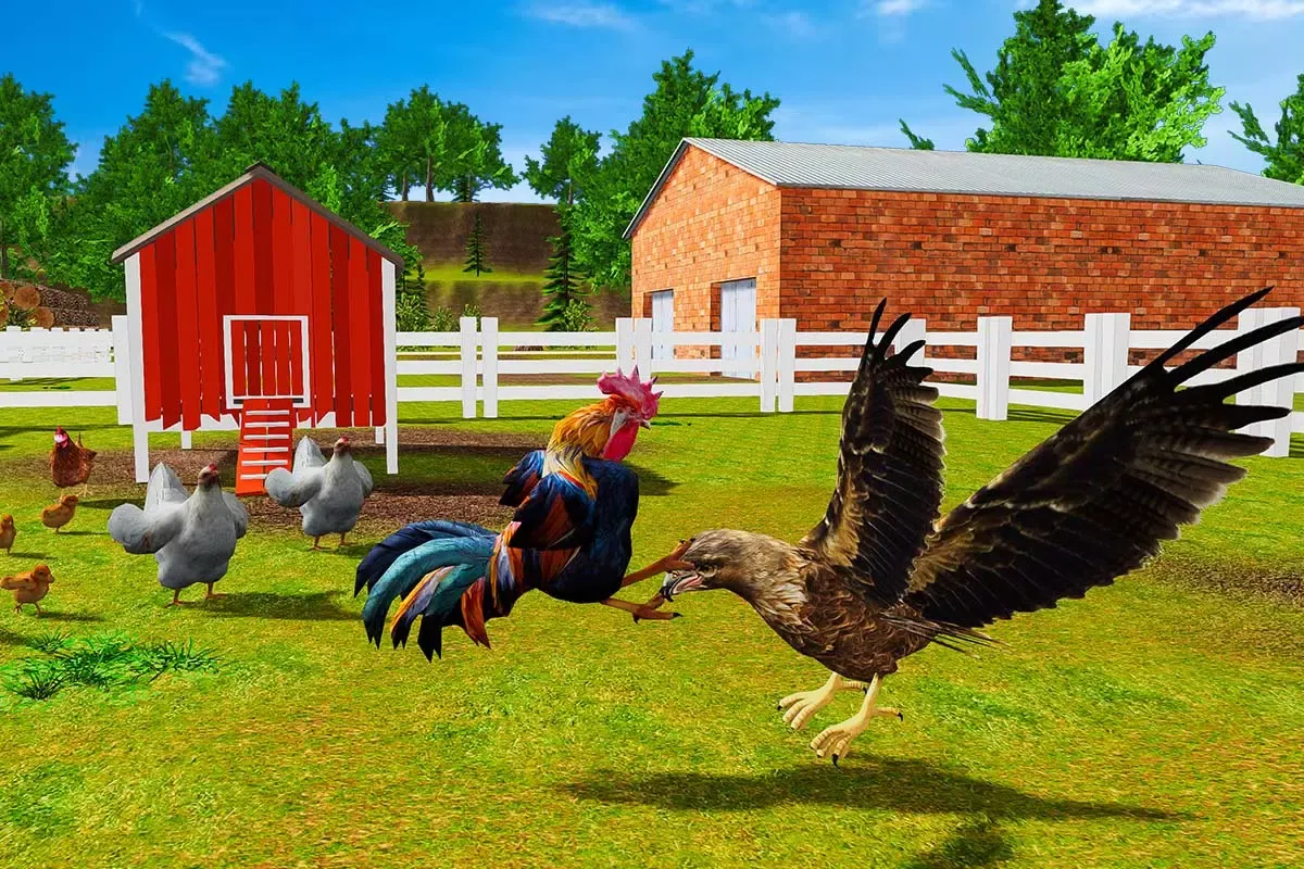 Rooster Simulator - Chick Life Screenshots