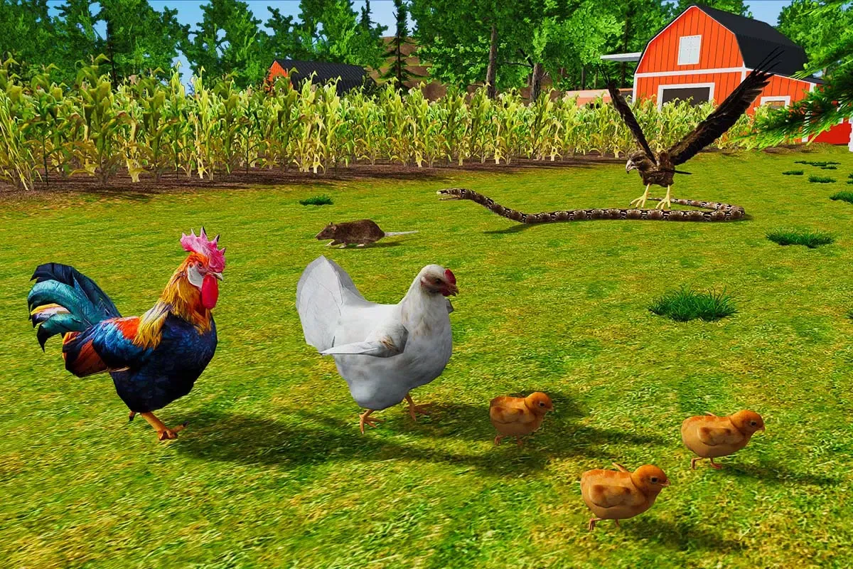 Rooster Simulator - Chick Life Screenshots