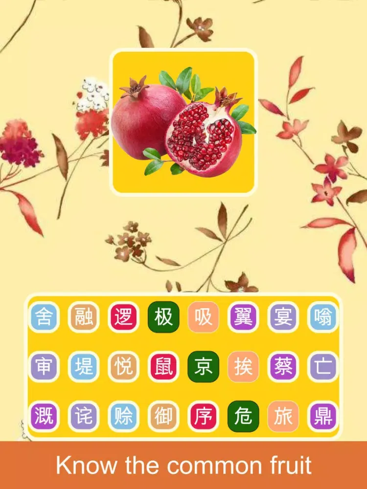 Kids Fruit Guess iPad 应用截图