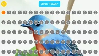 Zrzuty ekranu Chinese Idiom Flower HD