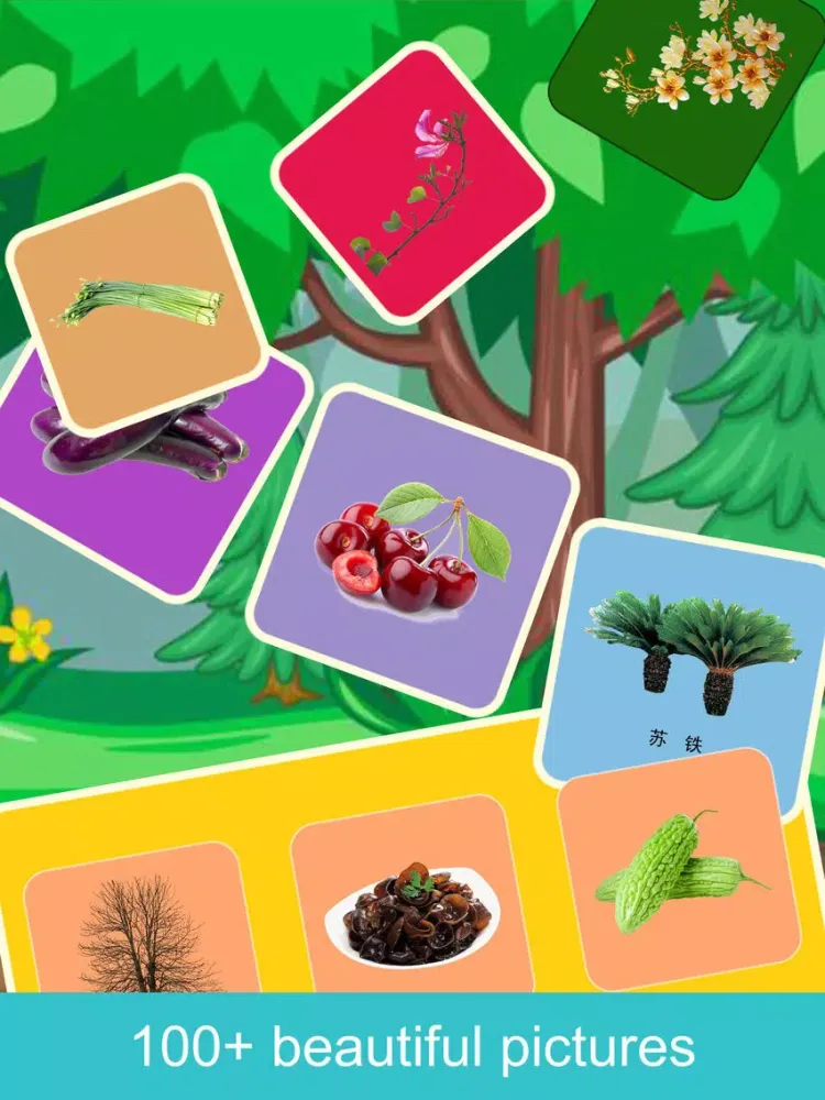 Capturas de tela do Kids Plant Sticker iPad 