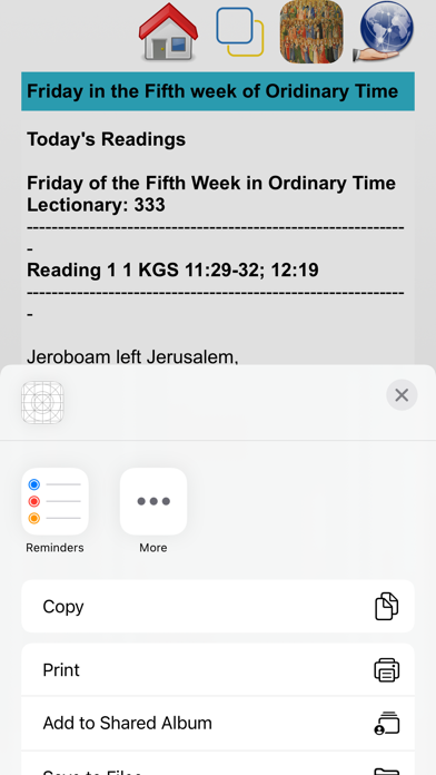 ภาพหน้าจอของ Catholic Liturgical Calendar