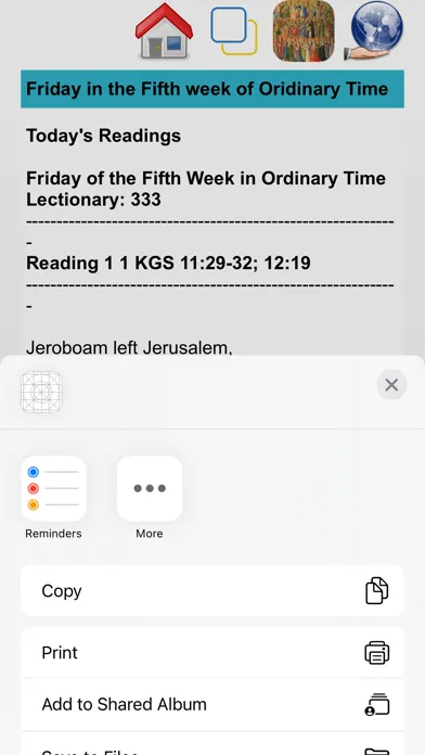 Catholic Liturgical Calendar应用截图