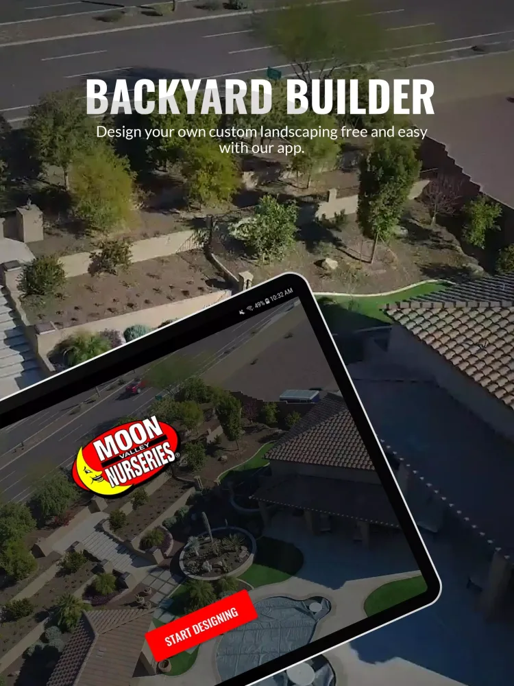Tangkapan skrin Backyard Builder