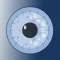 Ocular Surface Interest Group