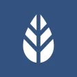 MoreApp Forms