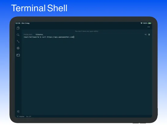 Code - Editor Git and Terminal iPad  Screenshots