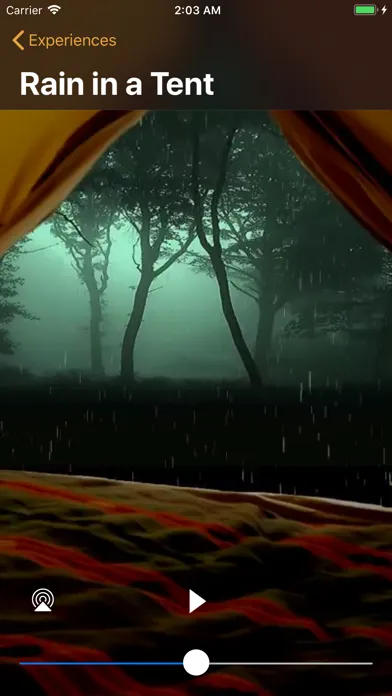 Tangkapan layar Rain Sounds - Relax and Focus