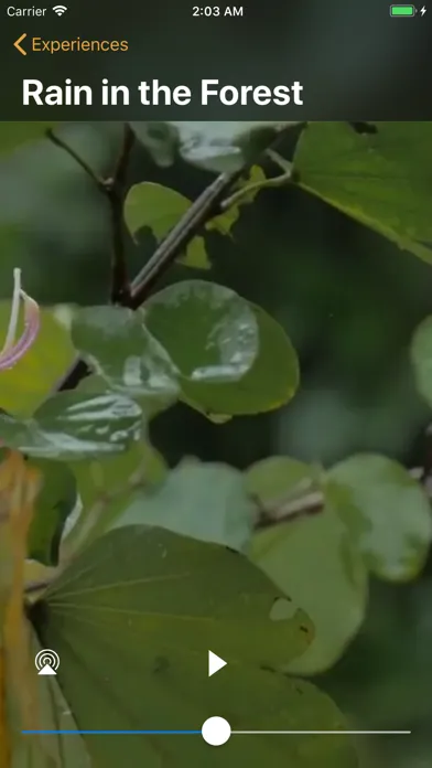 Tangkapan layar Rain Sounds - Relax and Focus