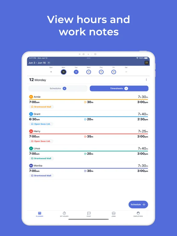 Employee Link: Timesheet App iPad  Ekran Görüntüleri