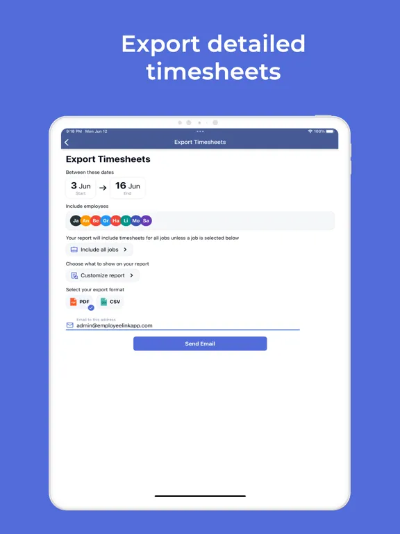 Employee Link: Timesheet App iPad  Ekran Görüntüleri