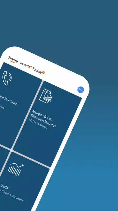 Screenshot di Morgan&Co. Research