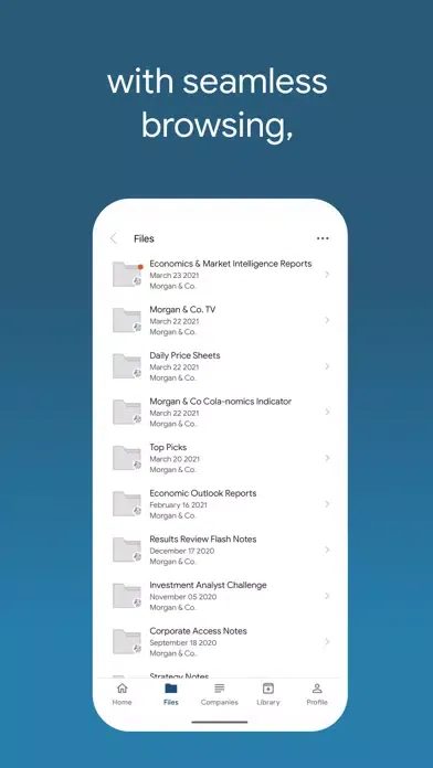 Screenshot di Morgan&Co. Research