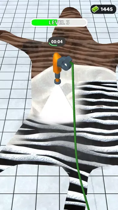 Foam and Wash Screenshots