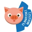 Pig's Forecast Pig's Forecast