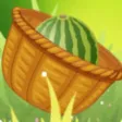 Mortar Watermelon