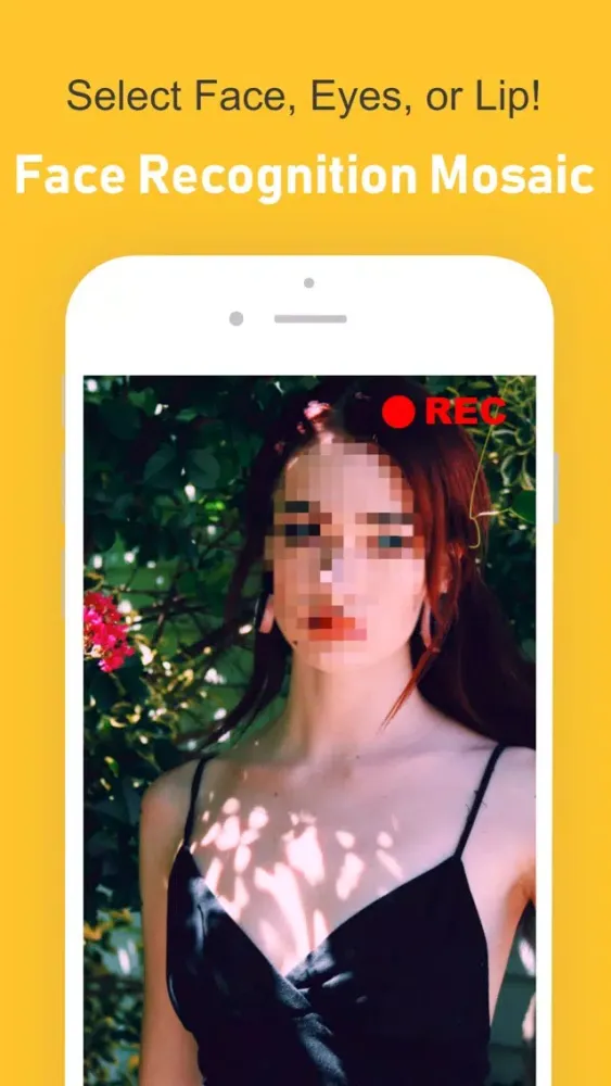 MOMERA-Mosaic Camera Screenshots