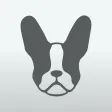 iFrenchie