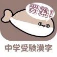 Kanji for Junior High Exam