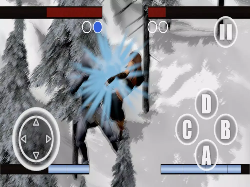 تصاویر Fantasy Fighter iPad 