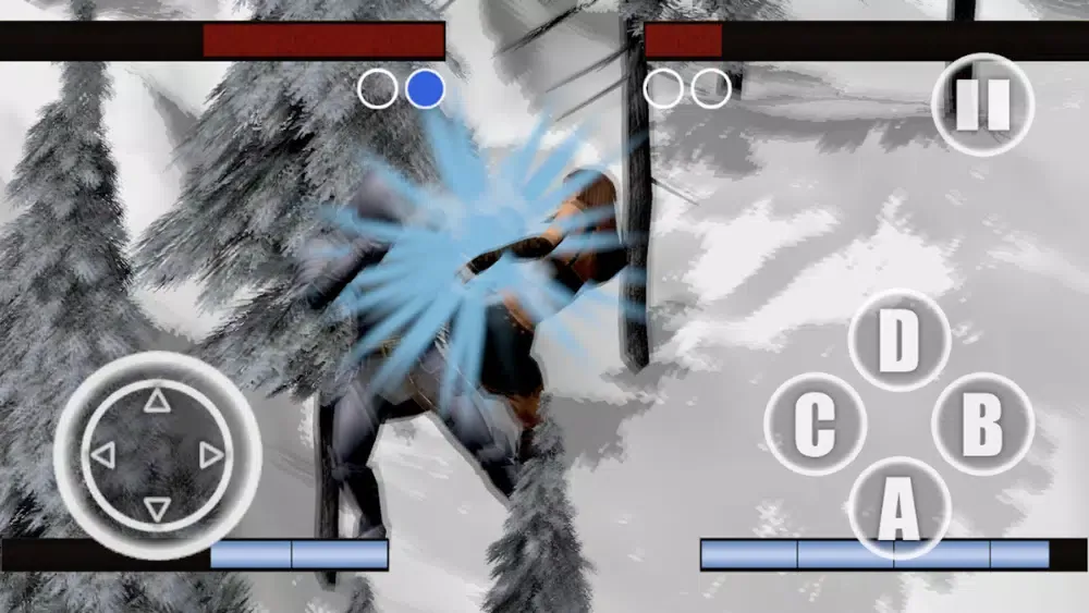 تصاویر Fantasy Fighter