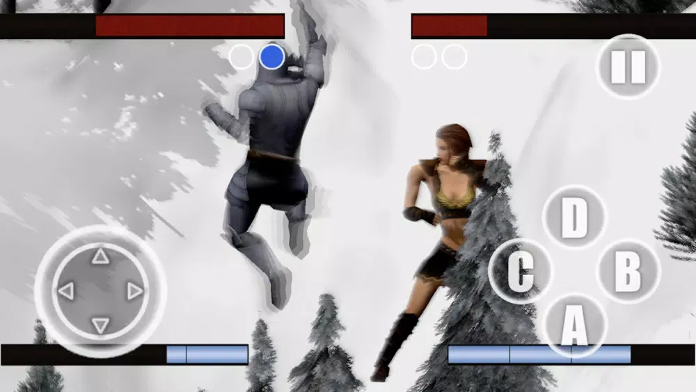 تصاویر Fantasy Fighter