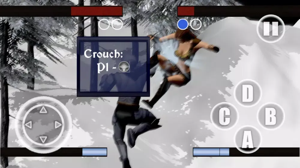 تصاویر Fantasy Fighter
