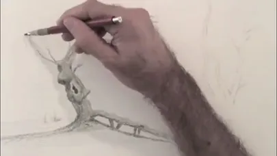 Teach Yourself To Draw应用截图