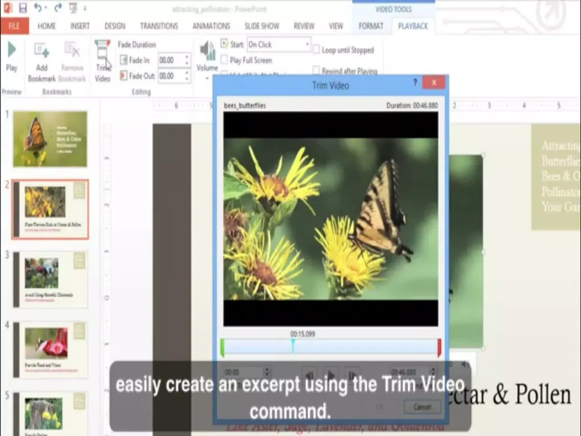 Master Class Guides For Microsoft Powerpoint iPad  스크린샷