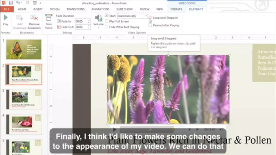 Master Class Guides For Microsoft Powerpoint 스크린샷