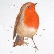 Watercolour Painting Academy Watercolour Painting Academy