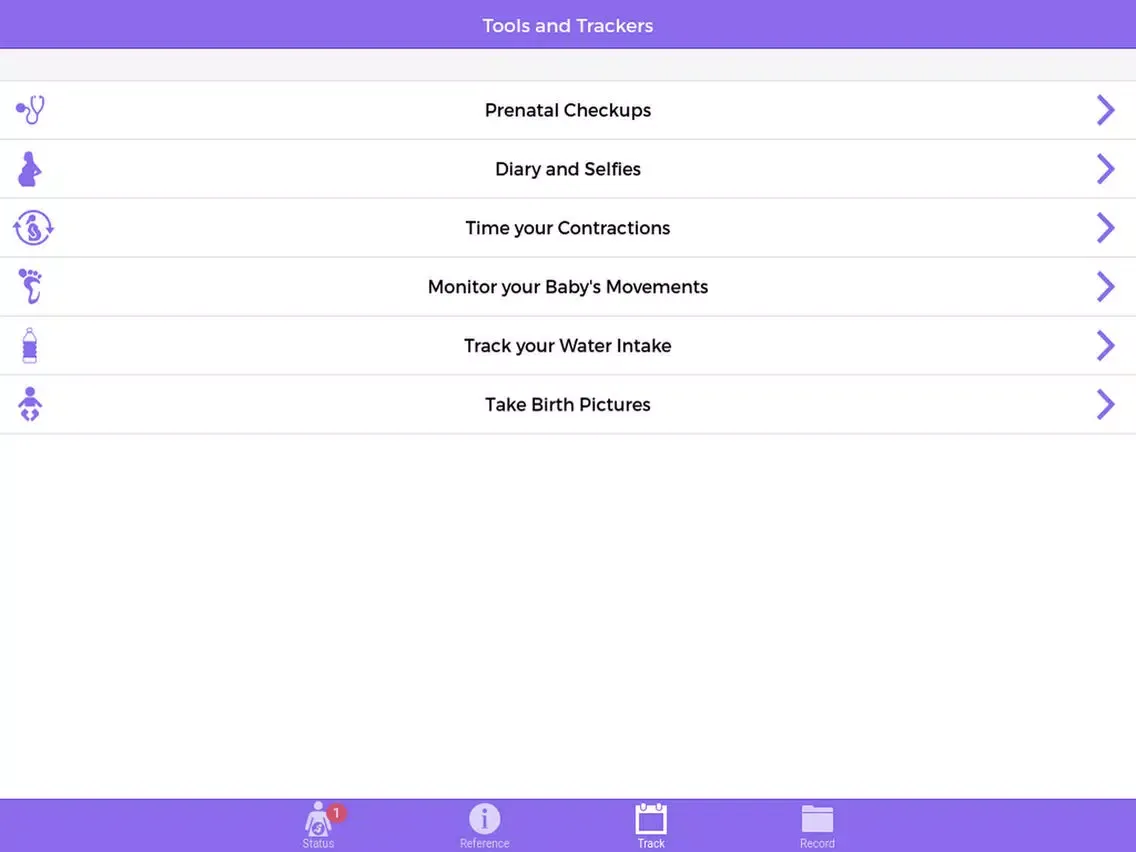 Pregnancy Guide and Baby Bump Tracker iPad 应用截图