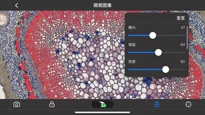 Ảnh chụp màn hình của MotiConnect II