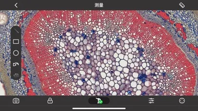 Ảnh chụp màn hình của MotiConnect II