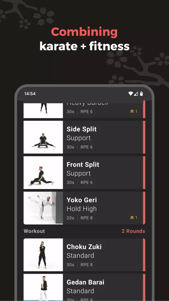 Dojo Athletics Screenshots