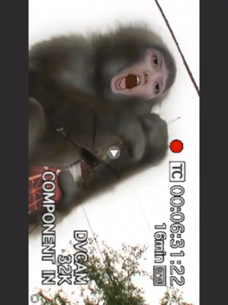 Capturas de tela do uMovie2 iPad 