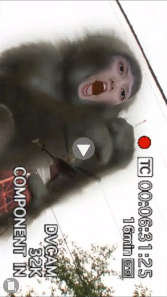 Capturas de tela do uMovie2