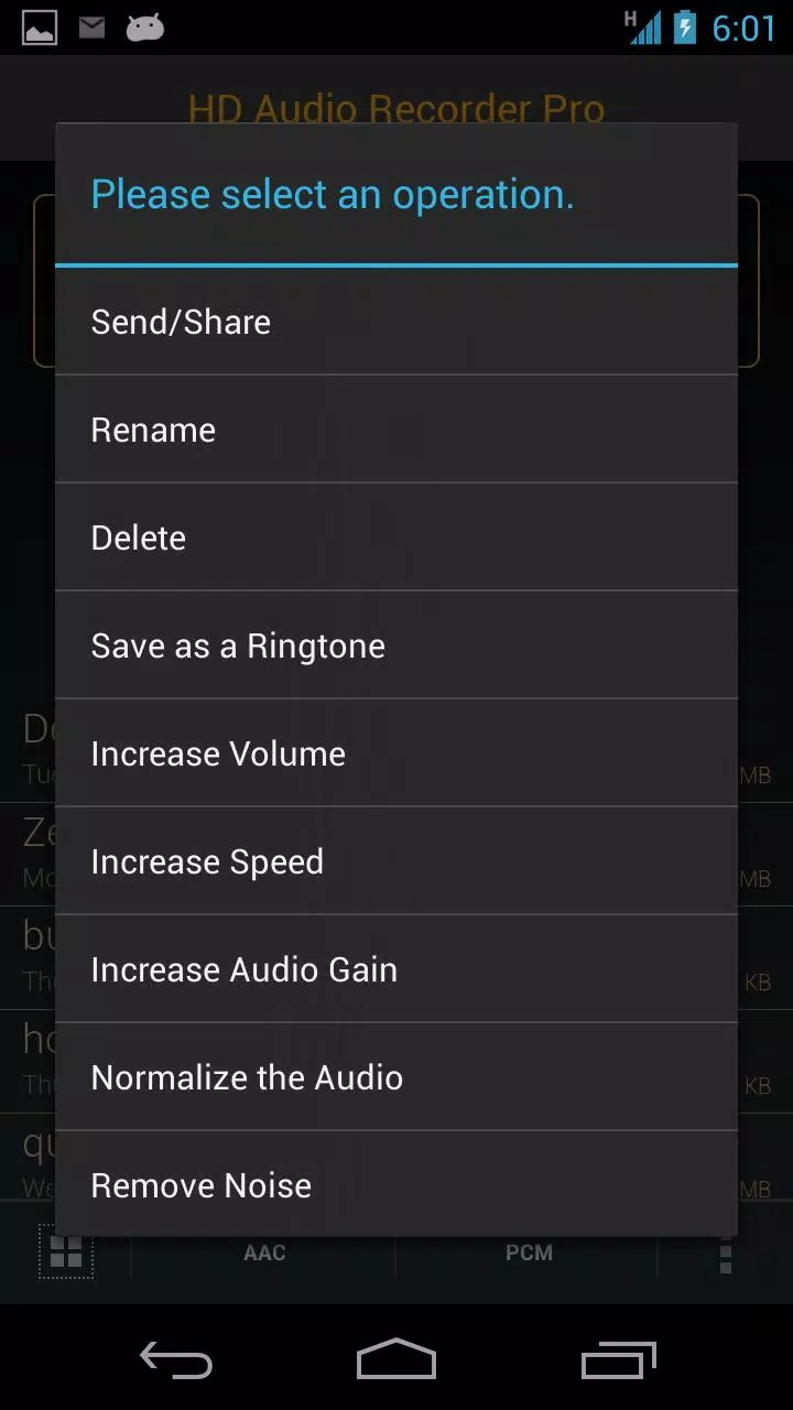 HD Audio Recorder Pro Screenshots8