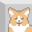 Corgi in the Box Corgi in the Box