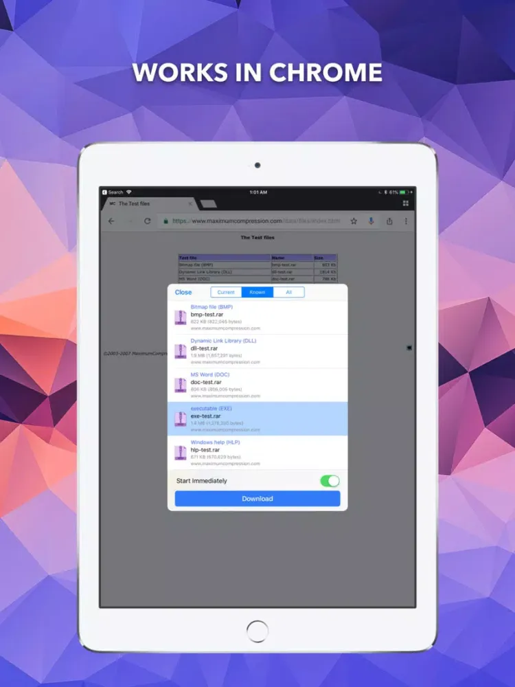 Tangkapan skrin EDM - Browse and Receive Files iPad 