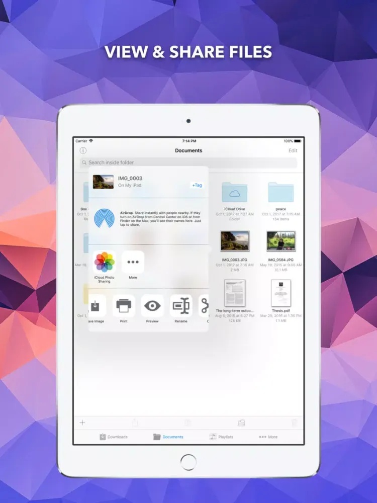 Tangkapan skrin EDM - Browse and Receive Files iPad 