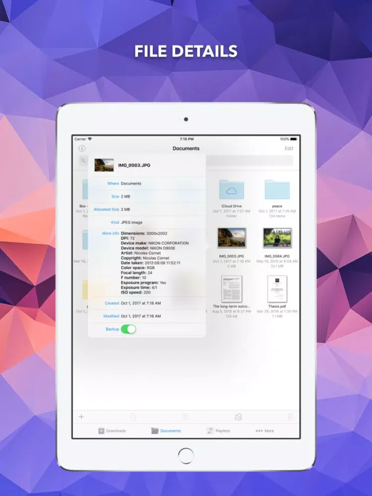 Tangkapan skrin EDM - Browse and Receive Files iPad 